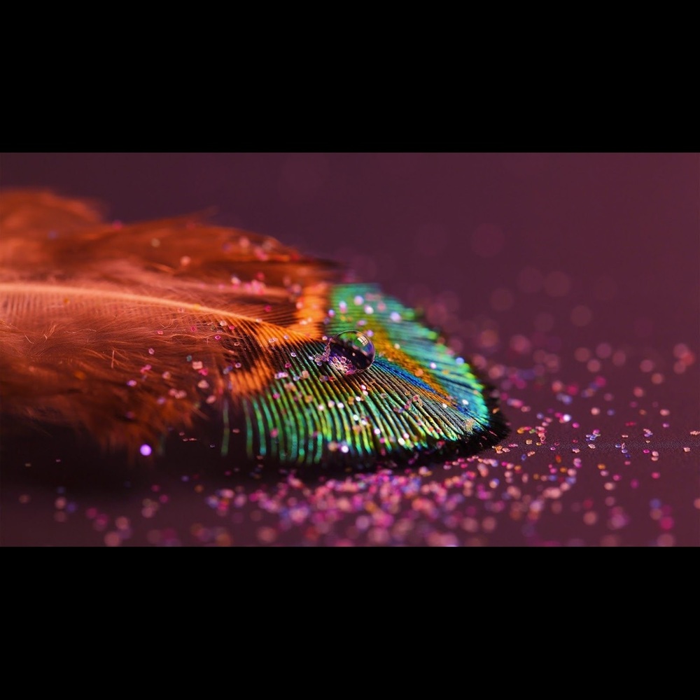 Meet your Posher, Alexander